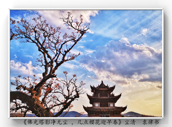 025《佛光塔影凈無(wú)塵 ，幾點(diǎn)櫻花迎早春》.jpg